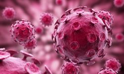 H3N2 grip varyantı uyarısı: Daha hızlı yayılıyor