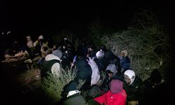 İzmir'de 79 düzensiz göçmen yakalandı