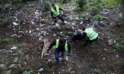 Muğla'da gönüllülerden temizlik seferberliği