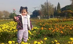 SMA'lı İkbal'in kampanyası durma noktasında!