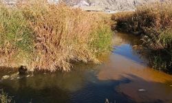 Fabrikalar kirletti... Büyük Menderes siyaha boyandı!