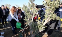 Karşıyaka’da zeytin fidanları toprakla buluştu