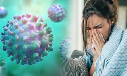Bakanlıktan 'H3N2 virüsü' açıklaması: Türkiye'de görüldü mü?