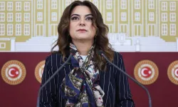 DEM Partili  Koçyiğit'ten 'İmralı tutanağı' tepkisi: Görüşmenin ruhunu yansıtmıyor