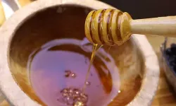 Marmarisli arıcıların morali yerine geldi… Çam balında üretim arttı!