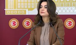 DEM Parti'li Koçyiğit: Yeni bir Türkiye istiyoruz