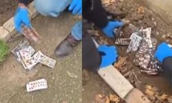 İzmir'de toprağa gömülü 'zehir' ele geçirildi!