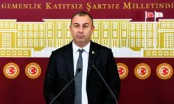 CHP'li Arslan hükümete sordu: İzmir'in vergileri nerede?