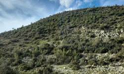 Metropolis diken üstünde... Belçikalı şirketten üçüncü başvuru!