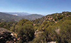 Latmos'u küle boğacaklar!