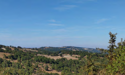 Yönetiminde eski bakan da var... Kuşların göç rotasına RES!