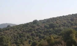 ‘Beşli Çete’ kitabında adı geçiyordu… O şirketin projesine Bakanlık onayı!