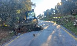 Aydın'ın ulaşım altyapısı güçleniyor