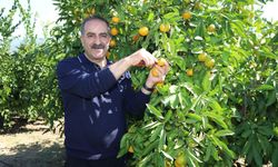 Başkan Uçak, tarla-market ilişkisini yorumladı: Suçlu hava, havayı yapan Allah, Allah’ı da suçlayamayız!