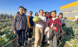 Bornova'da uygulamalı ekoloji eğitimi