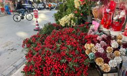 İzmir'de 'kokina' çılgınlığı