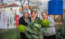Bornova’da Kent Bostanlarında hasat zamanı