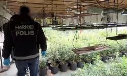 'Zehir' serasına baskın!