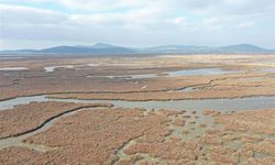 Kuş Cenneti komada!