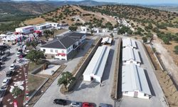 Manisa'da Sarıalan Barınağı kapatılıyor, nakil başlıyor!