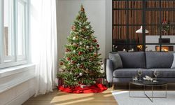 Oda’dan ‘yılbaşı çamı’ uyarısı: Ormandan kesip getirmek yasak!