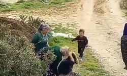 Akraba dehşeti: Çocuğunun gözü önünde dövdüler!