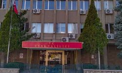 "Sokak hayvanları öldürülüp gömüldü" iddiasına Valilik'ten açıklama