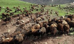 "Halk Elinde Islah Projeleri"ne 2,7 milyar lira destek!