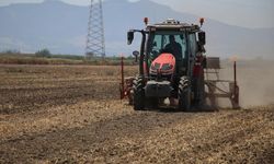Tarımsal destekleme ödemesi bugün yapılacak