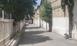 Üç mahallenin muhtarı birleşti: Tepecik Genelevi kapatılsın!