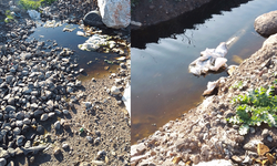 Harmandalı'da vahim iddia!