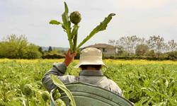 İzmir’in üç turizm hikâyesi “Halkın Seçimi” finalinde!
