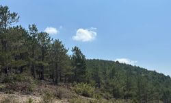 Kütahya Porselen’e ÇED’siz çifte izin: Erozyon alanına 102 yıllık taş ocağı!