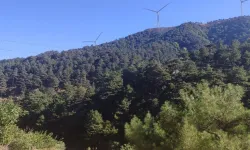 Ortakları arasında TİSK yöneticisi de var… İzmir sınırındaki zehir madenine onay!