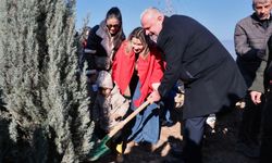 Menemen'de her bebek için bir fidan!