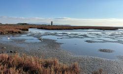 İzmir’in su havzalarında kirlilik alarmı: Eskiden su içerdik, şimdi elimizi sokamıyoruz