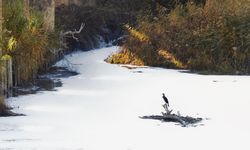 Gediz’in pis suyu tarımda kullanılıyordu... Başkandan savunma geldi: Çaresizlikten!