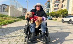 Yürüme yetisi sonrası eşini de kaybetti: Fıstık'la hayata tutundu!