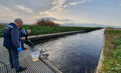 Aralarında belediyeler de var... Bakanlıktan Gediz cezaları!