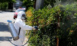 Karşıyaka’da kışa özel ilaçlama