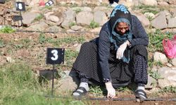 İzmir'de kenti kadınlar şekillendiriyor