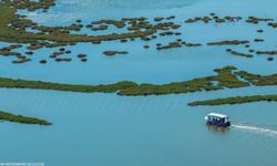 Doğa, kültür ve lezzet tutkunları için özel turlar!