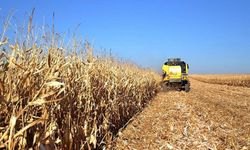 Kırsal kalkınmada hibe oranları yüzde 70 artıyor