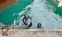 İzmir İtfaiyesi'nden can dosta yardım eli