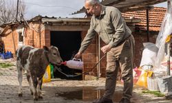 Çiftçiye buzağı kiti ve dezenfektan desteği