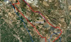 Hayvancılık İhtisas Bölgesi krizi... Milyarlık planlara AK Parti’den şerh!