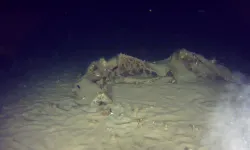 51 yıl önce kaybolan THY uçağının parçaları bulundu