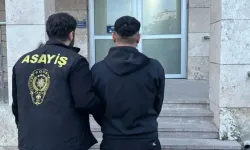 Saman yüklü kamyonda 11 düzensiz göçmen yakalandı