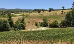 Köylülerin yargı zaferi... Cumhurbaşkanının kararı iptal!