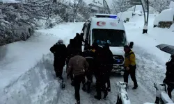 Van'da mahalleye çığ düştü: 1 kişi hayatını kaybetti!